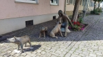 Без подписи