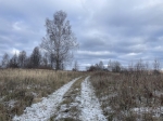 Без подписи