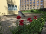 кенотаф Орловского