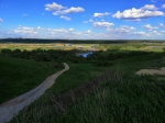 Без подписи