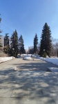 Центральная аллея в сторону фонтана