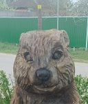 Бобренок (новый первый вопрос)