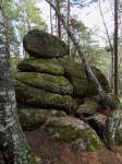 Без подписи