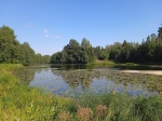 Без подписи