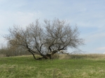 Без подписи