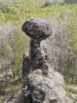 Без подписи