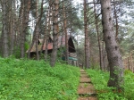 Без подписи
