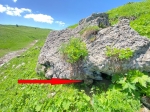 Без подписи
