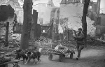 Без подписи