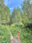 Без подписи
