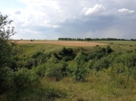 Без подписи