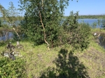 Тайник здесь