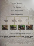 Без подписи