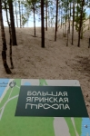 Без подписи