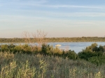 Без подписи