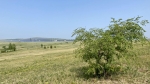 тайник тут