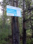 Без подписи