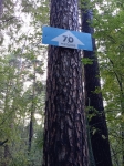 Без подписи