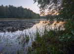 Без подписи