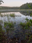 Без подписи