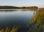 Без подписи