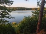 Без подписи