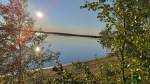 Без подписи