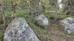 Без подписи