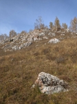 Без подписи