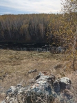 Без подписи