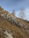 Без подписи