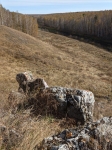 Без подписи
