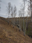 Без подписи