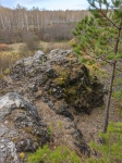Львиная голова