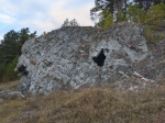Без подписи