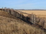 Без подписи