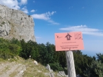 Без подписи