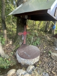 Без подписи