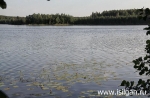 Без подписи
