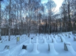 Без подписи