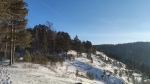 Без подписи