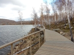 Без подписи