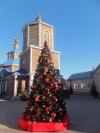 Без подписи