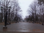 Без подписи
