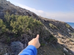 Тайник 