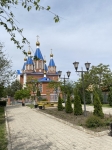 Без подписи