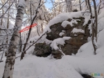 Без подписи