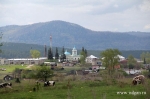 Без подписи