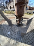 Без подписи