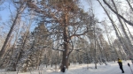 Без подписи